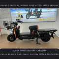 Scooter de carga de servicio pesado Gen-2 King Power