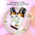 Rosewood essential oil,nature rosewood oil