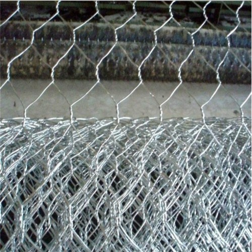 Wire mesh heksagonal dilapisi pvc galvanis yang dicelup panas