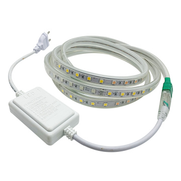 60LED 10MM 110V-240V LED Strip Light