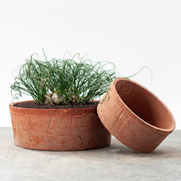 Luaran hiasan yang murah Pot tumbuhan terracotta yang besar