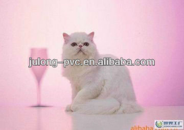 Eco-solvent Inkjet PVC Film 220g