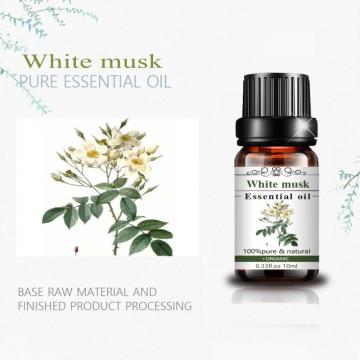 Hot Selling White Musk Long Lasting Fragrances Oil Materials Of Making Perfume