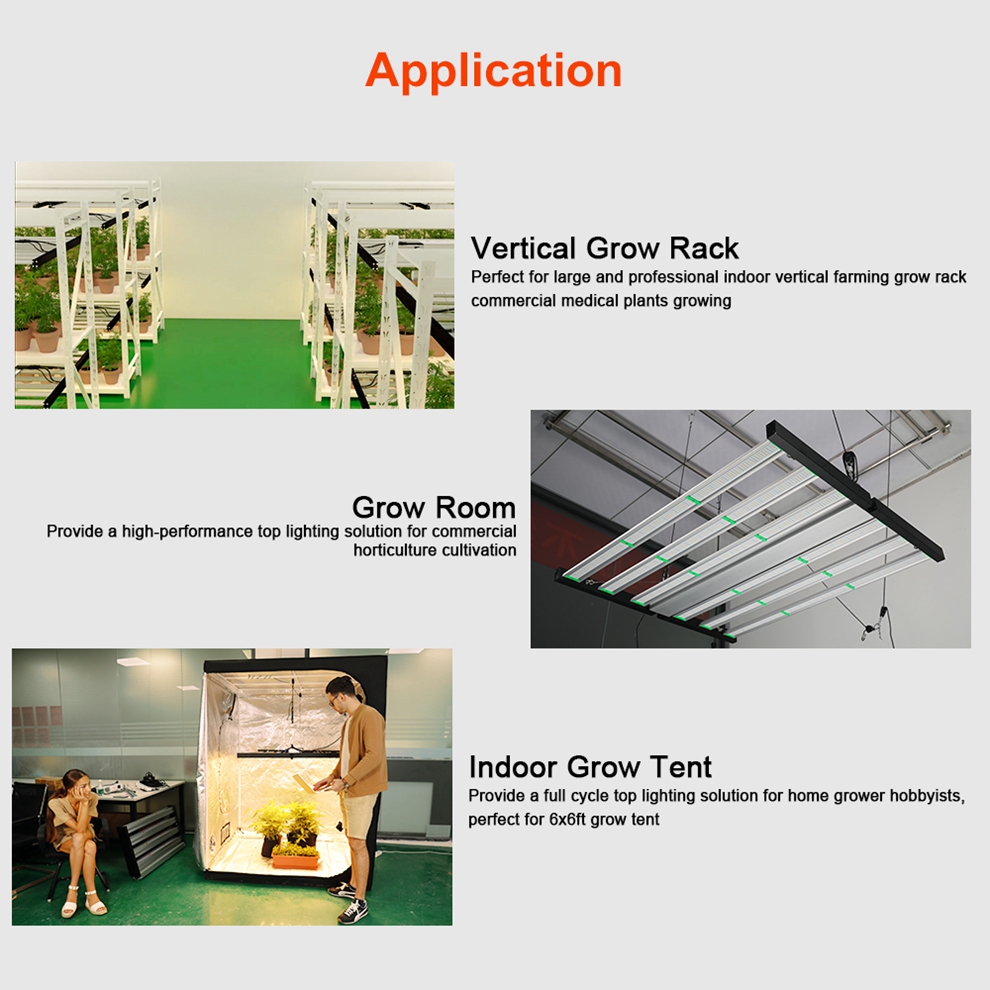 16 How To Choose Led Grow Light 16 How To Choose Led Grow Light
