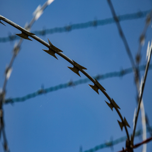 Stainless Steel Finish Concertina Razor Barbed Wire