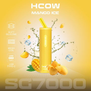 Toplu alım ucuz fiyat vape hcow sg 7000 puflar