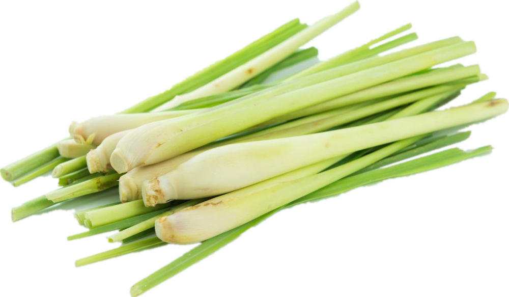 OEM lemongrass essential oil