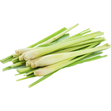 OEM lemongrass essential oil