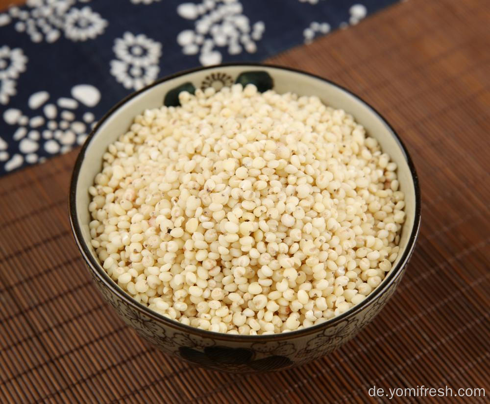 Sorghum -Reiskorn