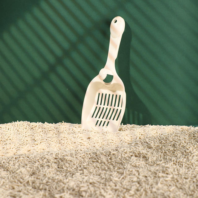 Natural Tofu Cat Litter Promotes Sustainable Living