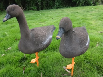 light weight used bean goose decoy for hunter hunting