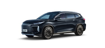 2025 EXEED LINGYUN 300T 2WD SUss Edition Edition