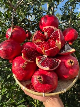 Premium Yunnan Pomegranate Extract Pure Essence