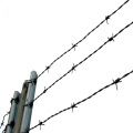 standard weight stainless steel barbed wire