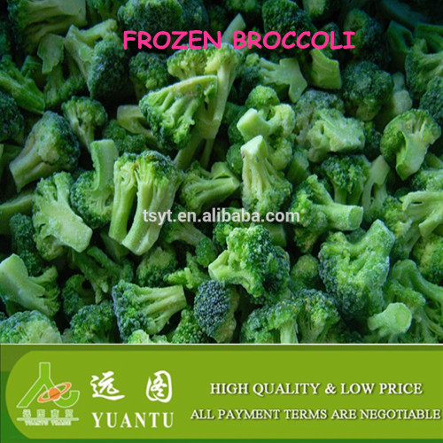 iqf frozen broccoli storage import china products
