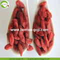 Factory Supply Dried All Kinds Of Goji Berry