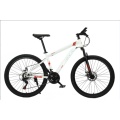 TW-70Mountain Bike with 21 Speed Suspension Fork