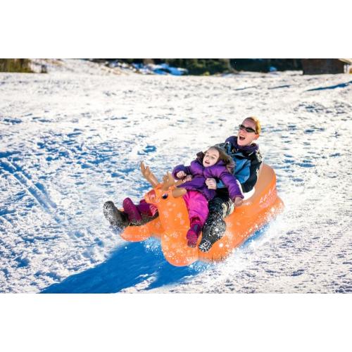 Custom inflatable sleds for children