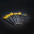 12 pcs Synthetic Hair Makeup Brush Set