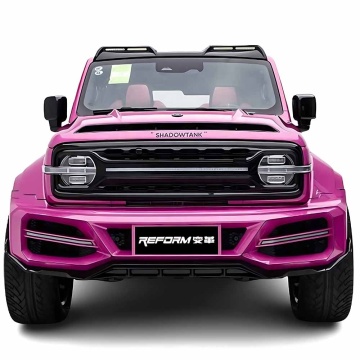 Tank300 GWM 4WD 2.0T 227 hp: Accessories, Body Kits & Modified Cars