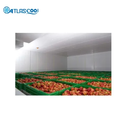 Apple fruit cold storage room