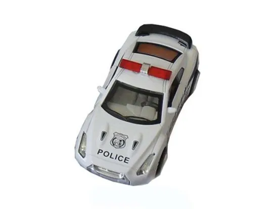 ALLOY BACK TO HE POLICE CAR