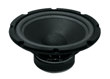 Professional Loudspeaker Woofer Speaker (FW-12075-63N)