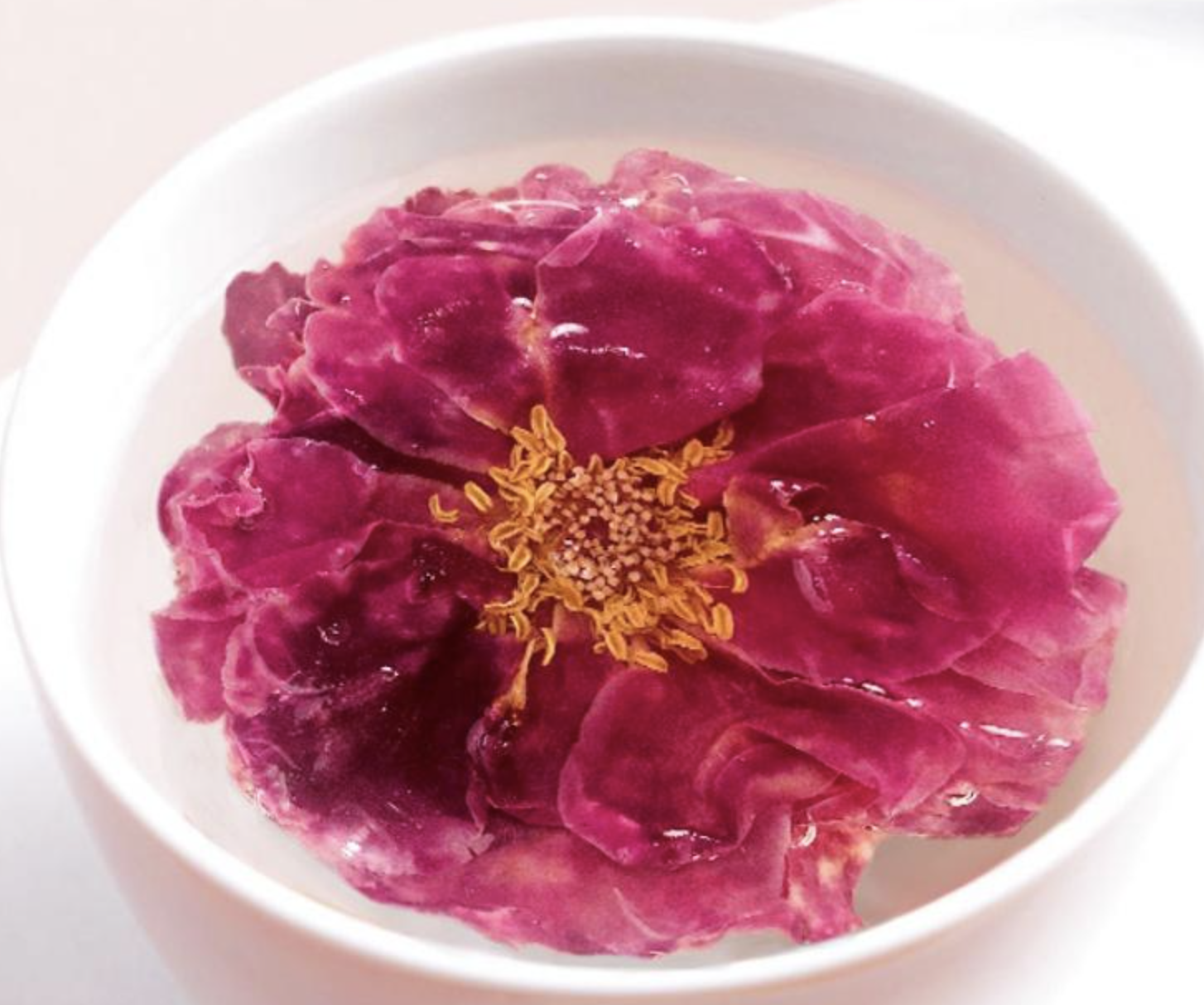 Natural Rose Extract Powder