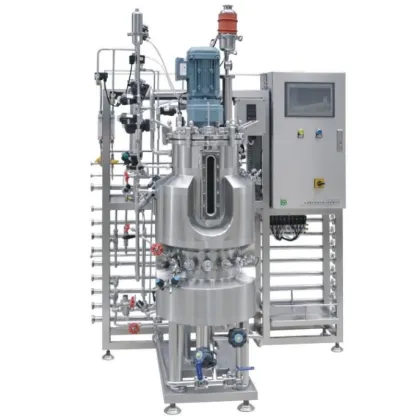 China Sell Well New Type Stainless Steel Bioreactor