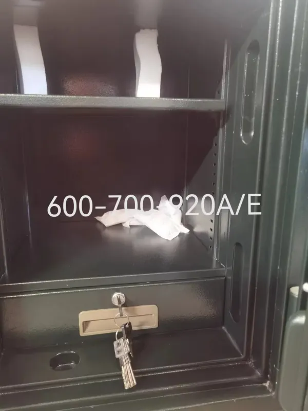 Fireproof Safe with Electronic Resistance