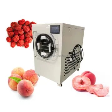 Vegetable Powder Freeze Dryer Machine: Food Vacuum Freeze Drying Equipment for Fruits and Vegetables