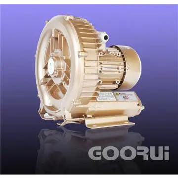 Energy efficiency Goorui Air Pump
