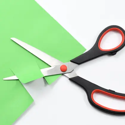 8.5 Inch PP Handle Stainless Steel Scissors for Thin Fabric, Paper, and Needlework