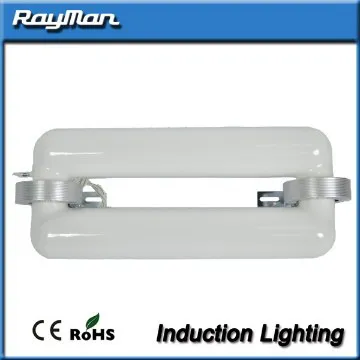Like natural sunlight induction light