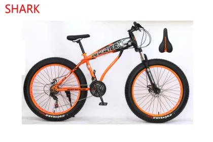 Factory wholesale snow mountain bike