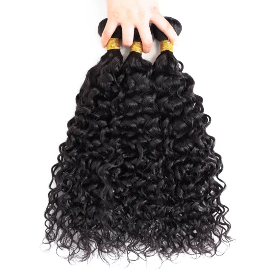Free shipping water wave Wholesale brazilian hair bundles wholesale virgin remy cuticle aligned hair