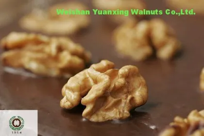 Foods for longevity Chinese Walnut Kernels Light Quarters