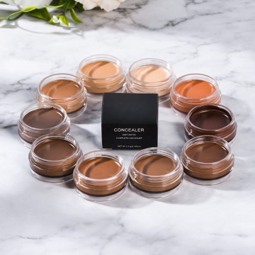 Private -Label -Kosmetik: Anpassbare matte, wasserdichte Concealer -Creme (10 Farben, Unisex, 3 Jahre)