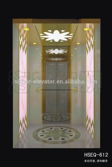 2016 Best-selling home elevator/lift One more procedure