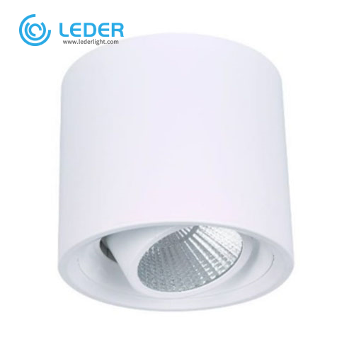 LEDER Cylindrical Decorative 10W LED Downlight