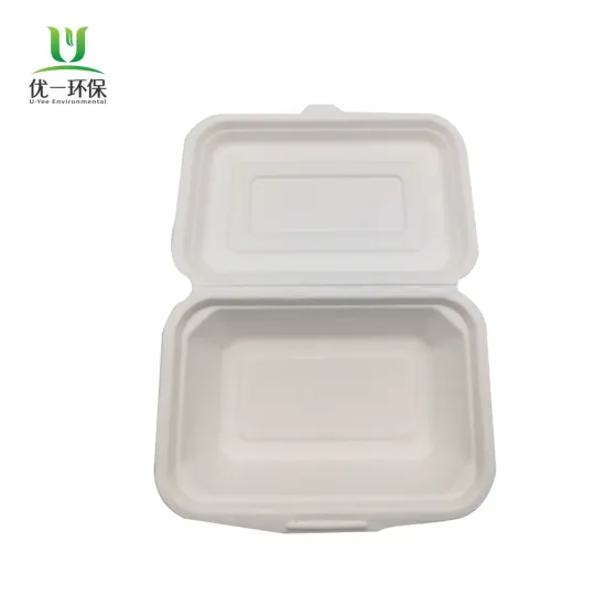 Biodegradable Bagasse Pulp Disposable 450ml Food Container