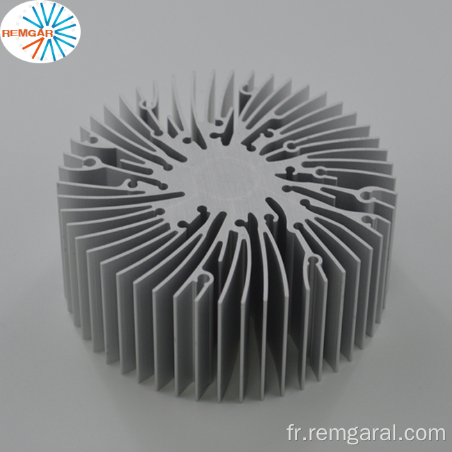 Extrusion en aluminium LED Zhaga thermor