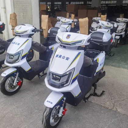 Police patrol electric bicycles
