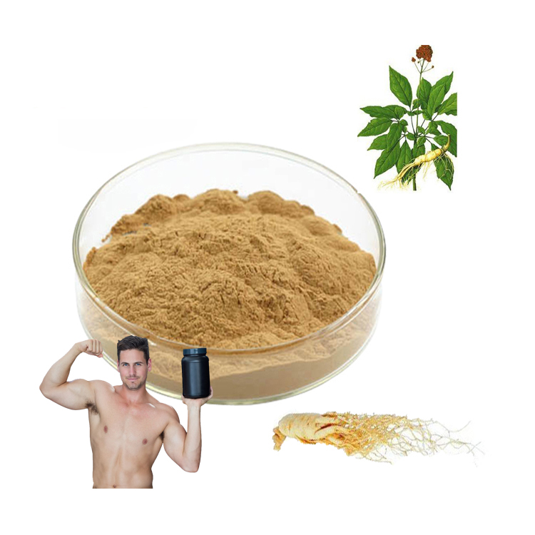 Ginseng Extract