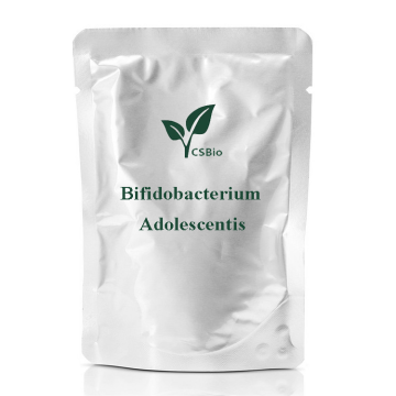 Bifidobacterium aolescentisのプロバイオティクス粉末