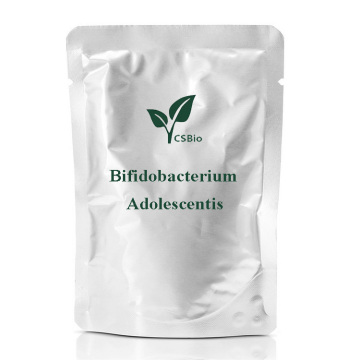 Bifidobacterium adolescentis probiotic bulk