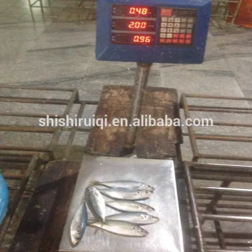 Frozen fish scad frozen round scad small eyes fish seafood