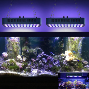 Phlizon fish tank licht volledige spectrum vis kom