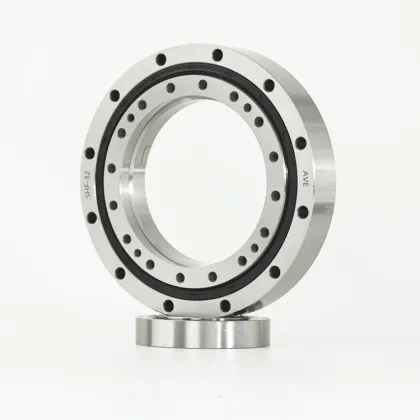 SHF 50 Harmonic Reducer Bearing