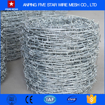 900mm Galvanized Concertina Barbed Wire 10m length